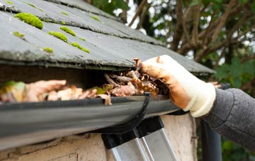 gutter cleaning Broomhouse, Glasgow City